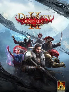 5. Divinity: Original Sin 2 (2017)